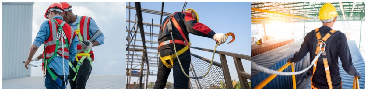 Harnais, longes, points d’ancrage : comment choisir l’équipement adapté ?