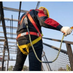 Harnais, longes, points d’ancrage : comment choisir l’équipement adapté ?