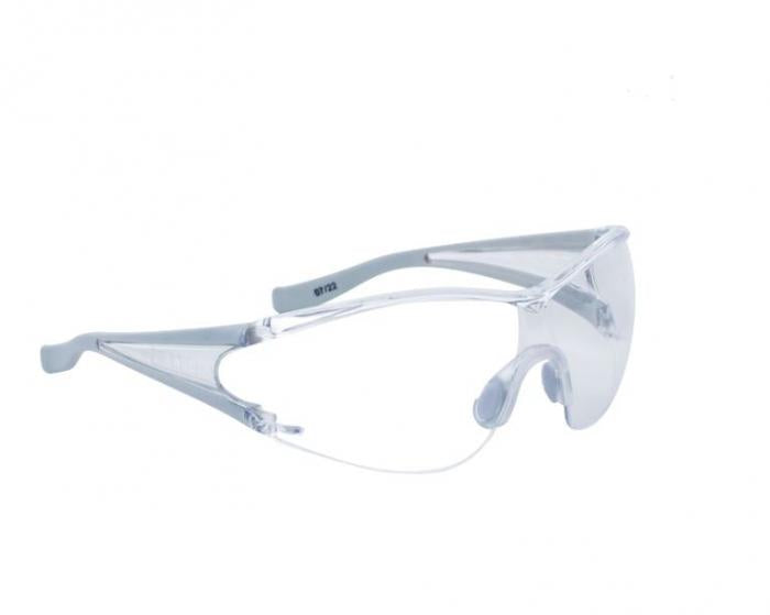 LUNETTES DE SECURITE EGON GR/INCOLORE