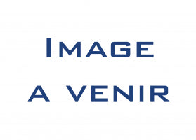 Coffret douil 1/2' 6p mm s.161b 48pc s.851 Facom