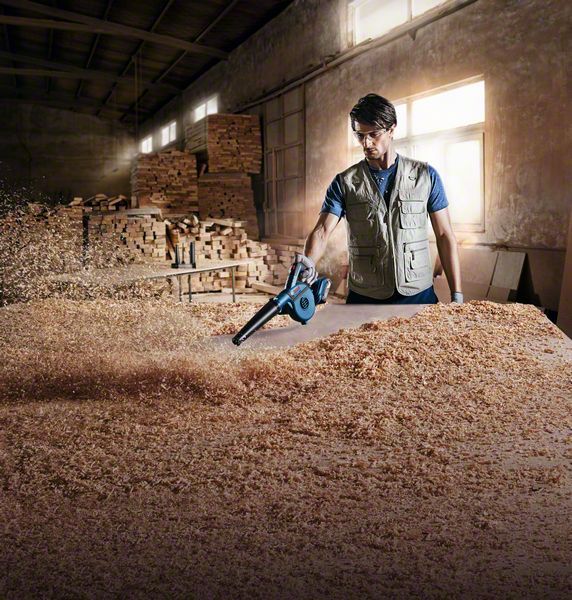 GBL 18V-120 solo carton Bosch 06019F5100